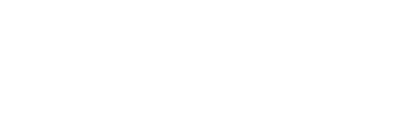 Logo Cerebiia
