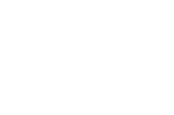 Logo Industrias Alimenticias El Palacio SAS